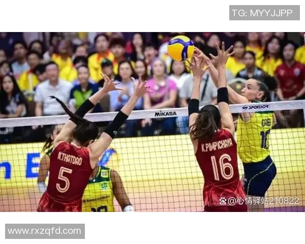 武汉排球队心理素质排名第一排球界TOP10心理素质分析揭晓